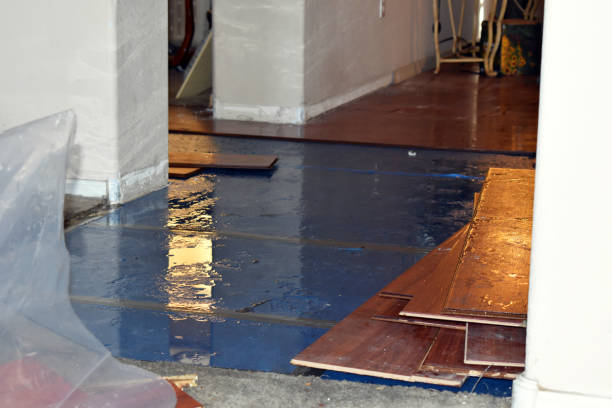 Professional Water Damage Restoration technician working in Kingston, MA